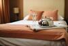Kings Hotel