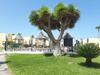 Apartamento El Cortijo Luxury