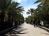Apartamento Avenida Tirajana N�3