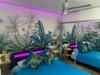 Apartamento Koka Samboors Suite