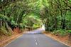 Apartamento Top View Acantilados de Los Gigantes