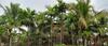 Hotel Pride Chira Meadows Ecoresort & Wellness Spa, Dapoli