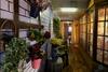 Seven Oaks Home Stay