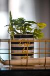 Apartamento Cosea Living: Seaside Elegant Suite In Harbour 112