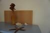 Apartment Ij 3stars 4-6 Persons