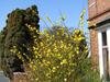 Anton Guest House Bed And Breakfast
