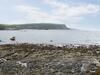 Crovie
