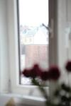 Stay Here Apartment Liisa
