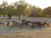 Bed & Breakfast Farmhouse Cubani