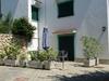 Apartments Oleander Kricin
