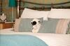 Hostal Holly-wood Guest House