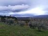 Agroturismo Castello Di Valenzano