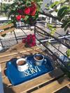 Kiwi Apartments Budva
