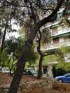 Park At Home Apartment