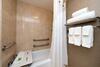 Hotel Holiday Inn Charlotte Center City