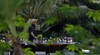 Hotel Alila Ubud