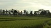 Hotel Alila Ubud