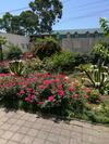 Hostal Guest House Villa Roza
