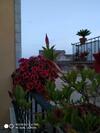 Bed & Breakfast Il Vicoletto