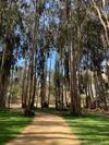 Apartamento Depto En Costa Algarrobo Norte Con Wifi