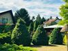 Villa Willa Irena