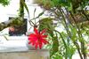 Bed & Breakfast Quinta D'av� Am�lia