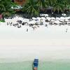Hotel Sai Kaew Beach Resort