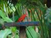 Bed & Breakfast Finca La Colina