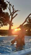 Chal� De Madeira Por Do Sol