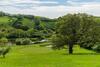 Hotel Penrhos Golf & Country Club