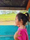 Mil�a Amazon Lodge