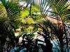 Hotel Caba�as Puesta Del Sol