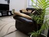 Masire Apartments Wilberforce