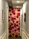 Albergue Bevel Backpacker Inn
