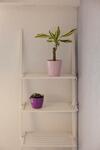 Apartamento Andea