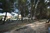 Apartment Ivo With Shared Swimming Pool