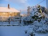 Hostal Quiet Woman House