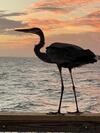 Apartamento Sunset Harbor Condo For 2 - Top Floor 1-309 - Navarre Beach