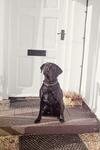 Hostal Broncoed Uchaf Country Guest House