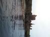 Harbour House Bed & Breakfast (wick)