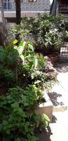 Spice Cottage Homestay