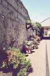 Posada The Black Bull Inn