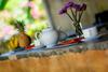 Hostal Villa Fiori
