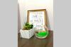 Apartamento Affordable Budget Friendly Studio Unit
