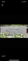 Apartamento Desna By J&j(it Park|wifi|netflix)