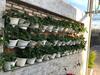 Hotel Greenview Guesthouse Dalat