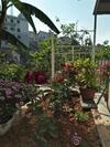 Apartamento Nh� C?a S�c