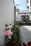 Hostal Villa Su?i M�a Xu�n