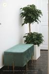 Hotel Ch�ch B�ng's House