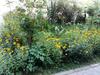 Apartamento Appartment In Batumi